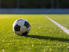 辛纳律师揭,示禁赛事件,真相,开云体育,开云体育app,开云体育官网,开云体育下载,开云体育入口