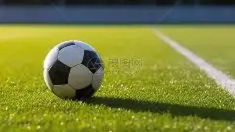 辛纳律师揭示禁赛事件真相：运动界遭犯罪集团操纵